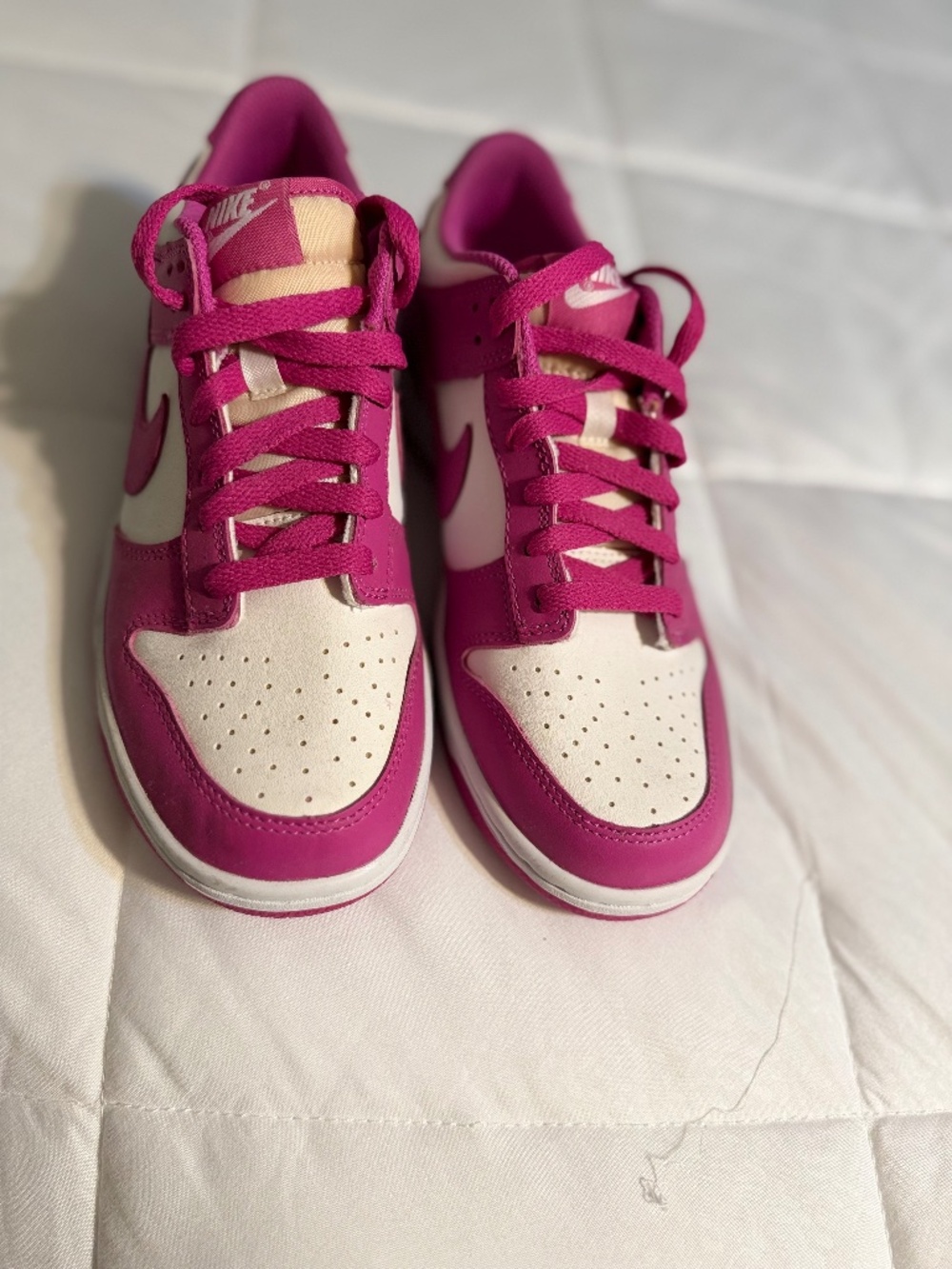 Nike dunks NEW